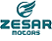 Zesar Electric Rickshaw