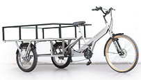 Pi Beam M03 Manual Rickshaw