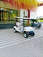 Shakti Auto Green Golf Cart