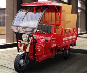 Deltic Vayu E Rickshaw Loader Price in Godda - 2024