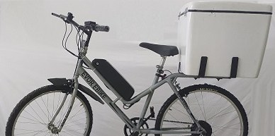 EVOR Delivery Electric Bicycle DEB 250