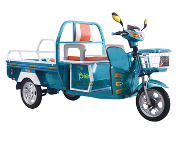 PIE Blue Loader E Rickshaw
