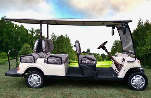 Speedways SGC4EX 6 Seater Battery Operated Golf Cart